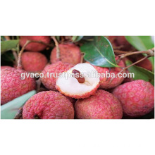 deliciuos fresh lychee - hight quality lychee fresh variety from vietnam